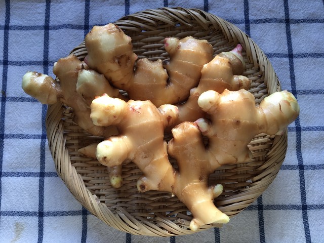 囲い生姜 ２kg Ginger ２kg 中里自然農園 ーnakazato Nature Farmー