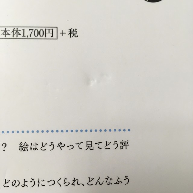 椹木野衣 感性は感動しない 美術の見方 批評の作法 ながいひる