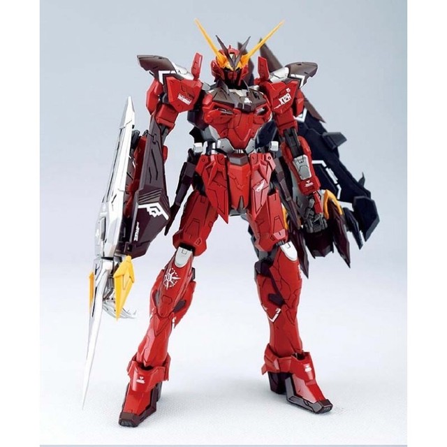 レア 廃盤 Doragon Momoco Mg 1 100 Rgx 00 テスタメントガンダム ガンプライク