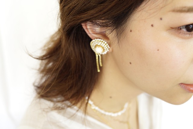 【刺繍イヤリング】 StoneChain x Pearl 2✴︎