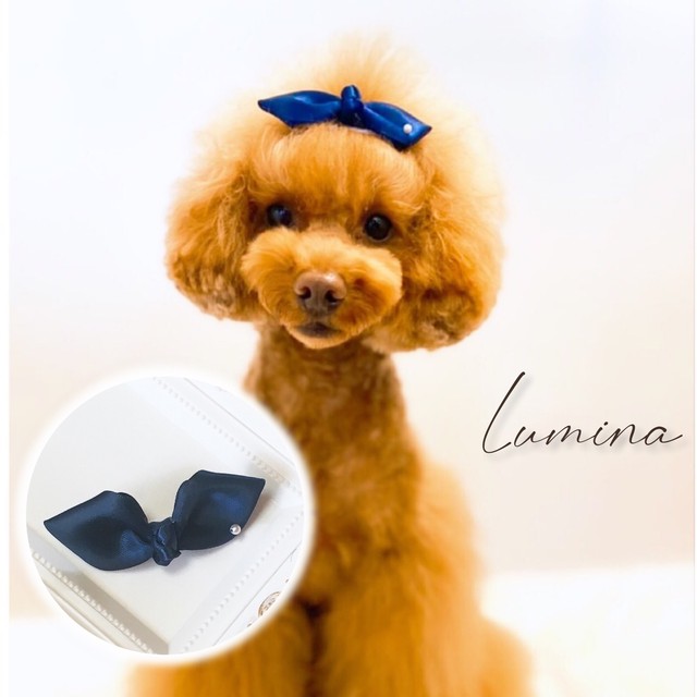 シンプル蝶リボン ペット用品 犬アクセサリー 犬リボン 猫 犬服 猫服 クリップ ピン バレッタ Lumina ルミナ