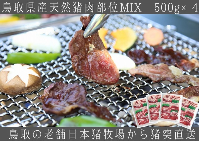 鳥取県産天然猪【焼肉・鍋用】ミックススライス500g×4 計2㎏