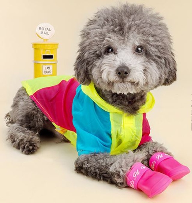 ペット用レインシューズ レインブーツ 犬用雨靴 ペットグッズ Shop Izuka