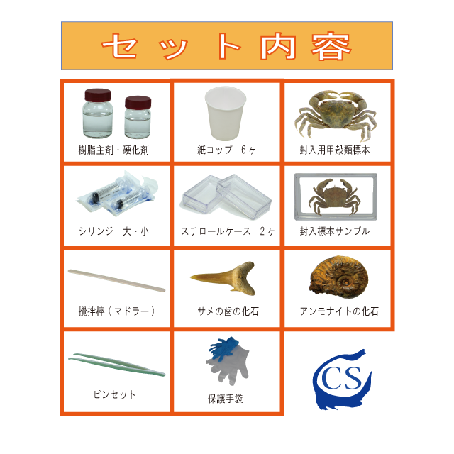樹脂封入セット 甲殻類標本 Csラボラトリーズ