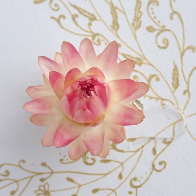 ドライフラワー 帝王貝細工 ピンク ピアス イヤリング 鳳来ターシャ 田中佳子