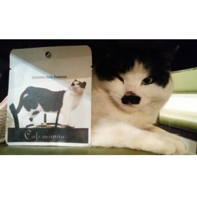 ちょびひげドリップバックbセット ちょびひげコーヒー By Cafe Manna