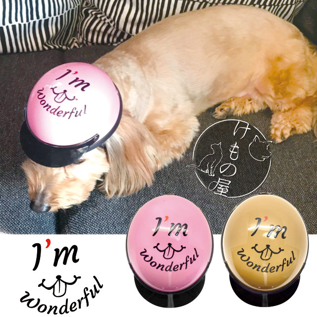 ペットヘルメット I M Wonderful ドッグ キャット ペットアクセサリー ペットグッズ 小型犬用 帽子 ミニヘルメット ヘルメット ペット用品 犬 猫 メッセージ Hel226 けもの屋