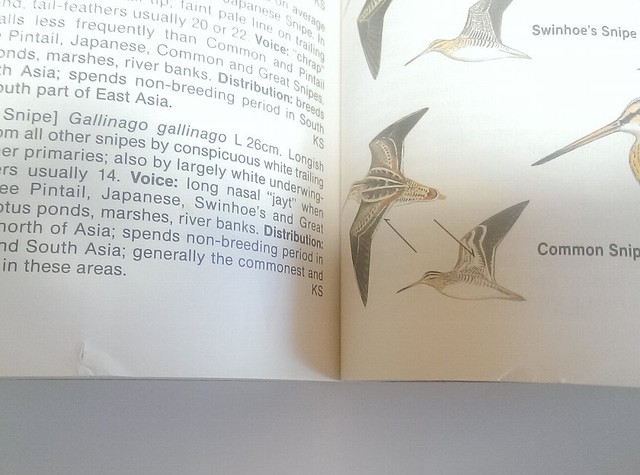 中古書籍 A Field Guide To The Waterbirds Of Asia アジア水鳥図鑑 亜細亜自然堂 Asia Nature Shop