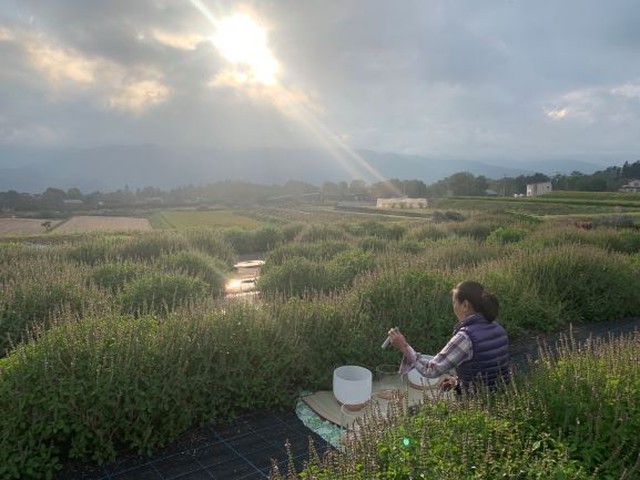 業務用 ラーマトゥルシーティー花茶葉 80ｇ 八ヶ岳花笑み菜園