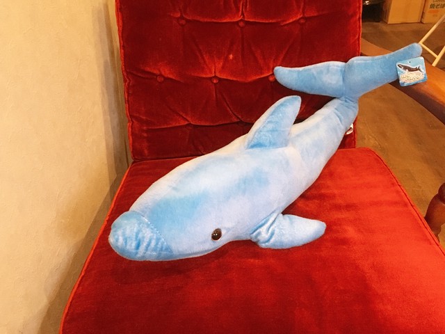 アウトレット イルカ ぬいぐるみ Dolly Clock