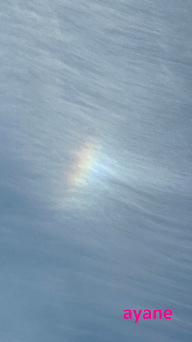 ルノルマン恋愛成就待ち受け Ayaneyama