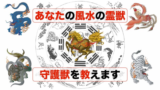 守護獣鑑定 あなたの守護神鑑定 ドルフィンボルテックス