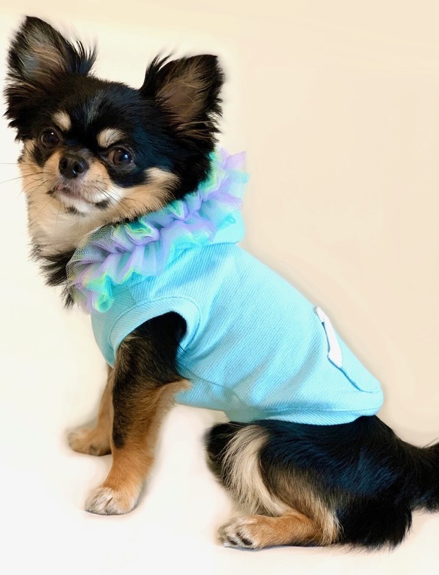 Macaron Frill Hoodie Blue 犬服 人気 犬の服 おしゃれ ドッグウェア 小型犬 犬服ブランド Chicc ドッグウェア ブランド