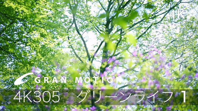 自然風景 Artzone Web Shop