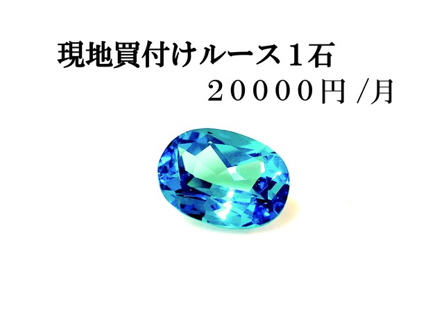 毎月 000円で本物の綺麗な宝石があなたに届く 品質重視１石コース いけだ屋