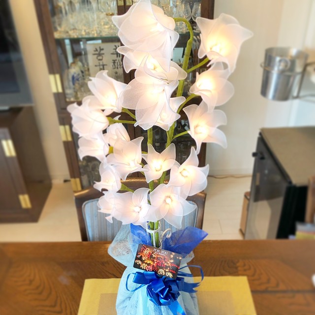 ベルフラワー For You Flower Illumination