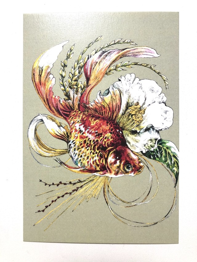 グッズ ポストカードセット 金魚 5枚入 Ken Matsuda Store