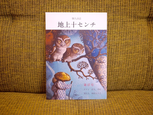 地上十センチ 新本 七月堂古書部