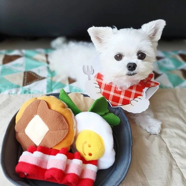 ノーズワーク 犬用 玩具 おもちゃ パンケーキ 韓国 Cozy Style