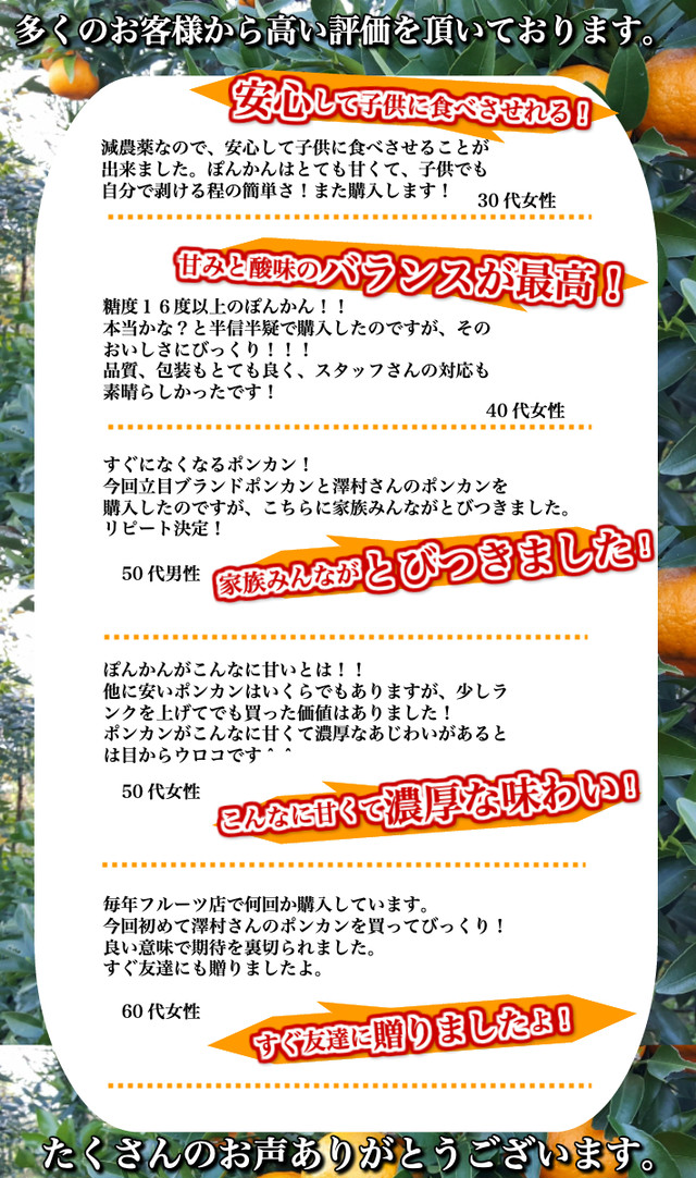 減農薬 ぽんかん 約５kg 贈答用 秀品 大玉2l L 糖度16度 高知県 室戸産 澤村さんの完熟ポンカン 送料無料 土佐カツオとうなぎの通販 高知の旬をお届けする 池澤鮮魚マリンオンラインショップ