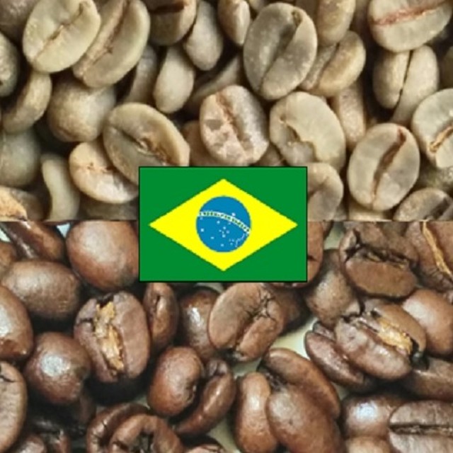 ブラジルサントス 100g コーヒー焙煎注文 自家焙煎コーヒー豆 Seppeくつろぎ舎珈琲ロースター コーヒー豆焙煎注文 自家焙煎コーヒー店