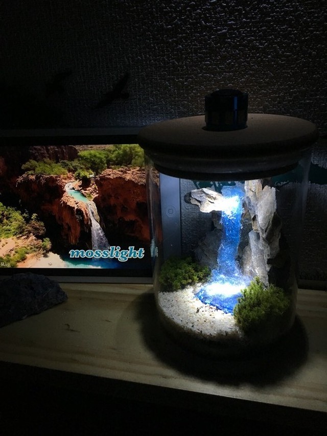 Mosslight Blue Fall 秘境の滝の月灯り テラリウムインテリアライト Twoface