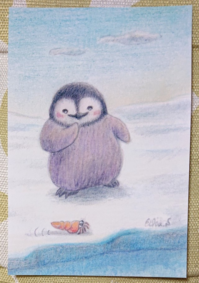 ポストカード ヤドカリとペンギン 絵本作家 すぎうらえいか