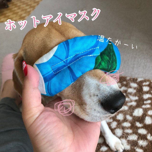 ミニサイズ 犬 ホット犬アイマスク 小豆の力 犬グッズ Hi Be ハイビ