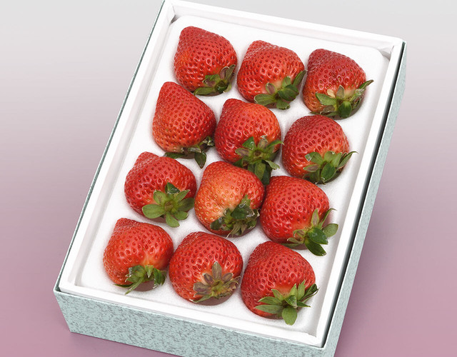 博多あまおう〔送料無料、あまおう、いちご、苺、詰め合わせ、贈答用〕