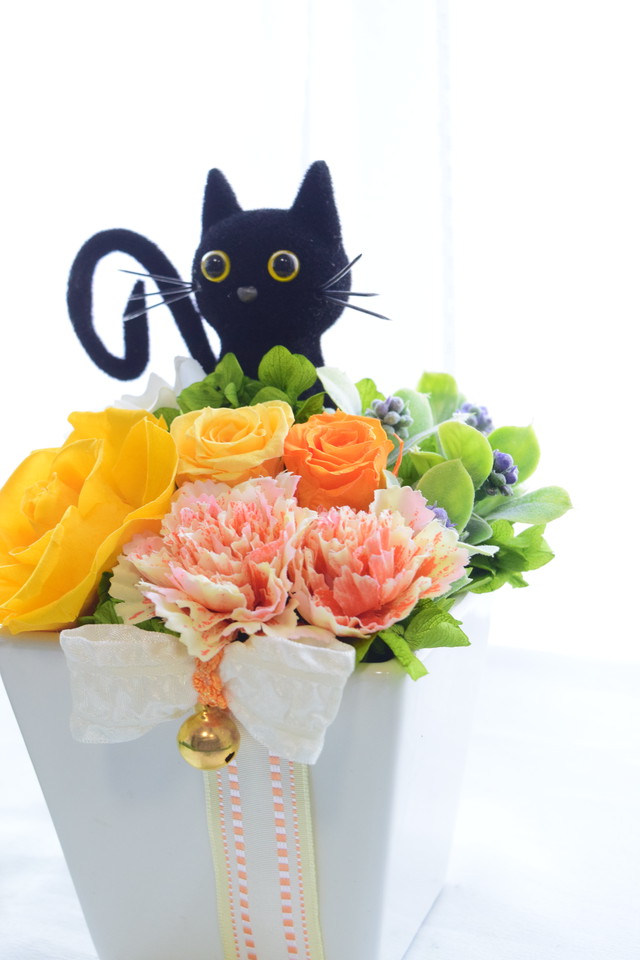 お花畑の猫 イエロー系 プリザーブドフラワー カーネーション ローズ 誕生日 母の日 フラワーギフト ねこ 枯れない花工房 すりすとん