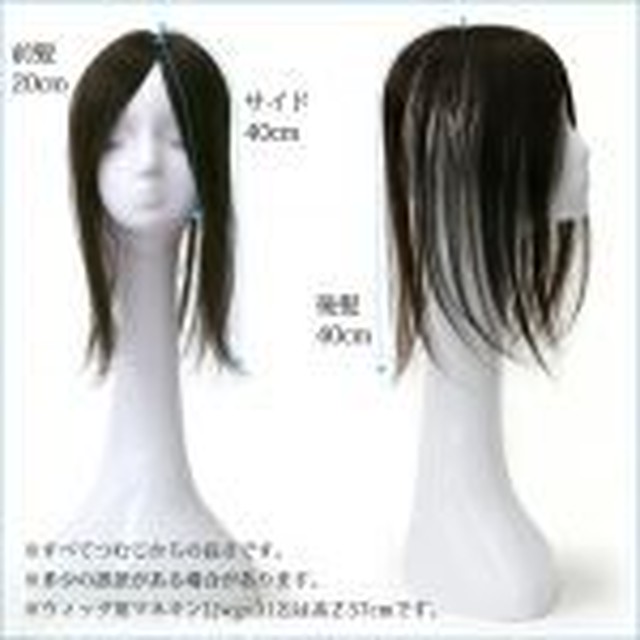 ヘアピース ロング 部分用ウィッグ 人毛100 総手植え Charm チャーム