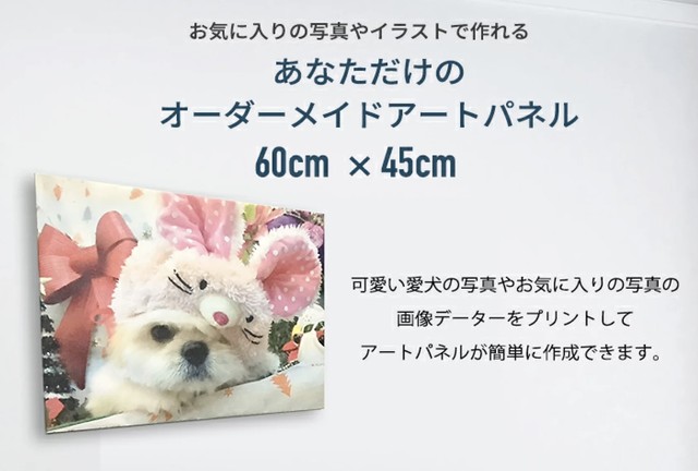 人気商品 あなただけのアートパネル 長方形 60 45 オーダーメイド 写真 イラスト キャンバス風 壁掛 飾り C Raft