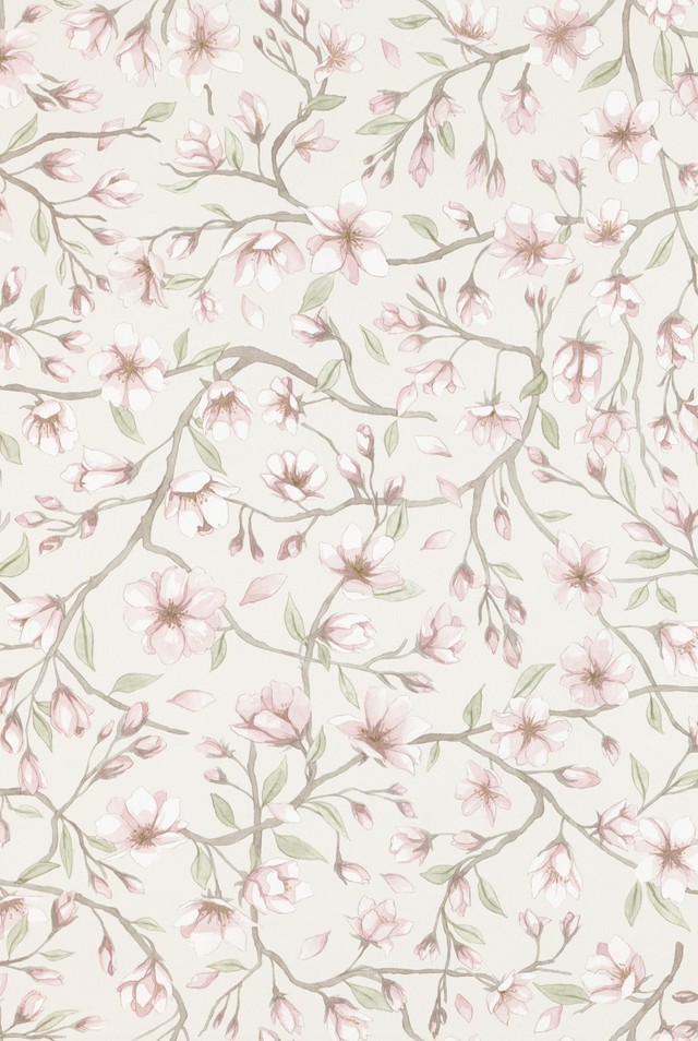 【Sandberg】Sakura