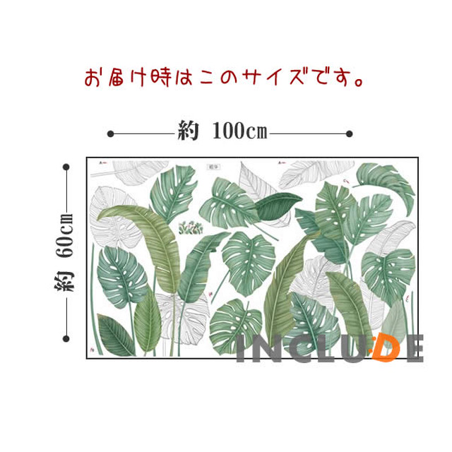 ウォールステッカー トロピカルプランツ リーフ 里芋 オーガスタ セローム モンステラ 観葉植物 ボタニカル グリーン 大きい葉っぱ トトロの傘 Kabe Kawaii
