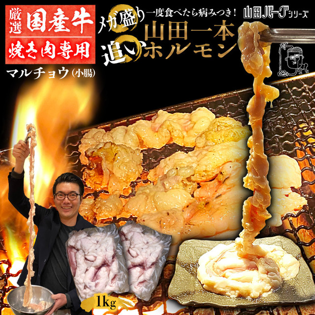 国産 牛 ホルモン 1kg(500g×2) 山田一本ホルモン 【焼肉用】