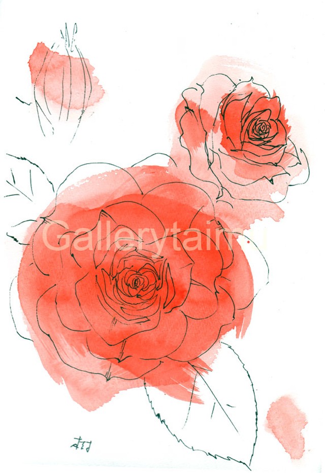 イラスト 薔薇 Gallerytaimu