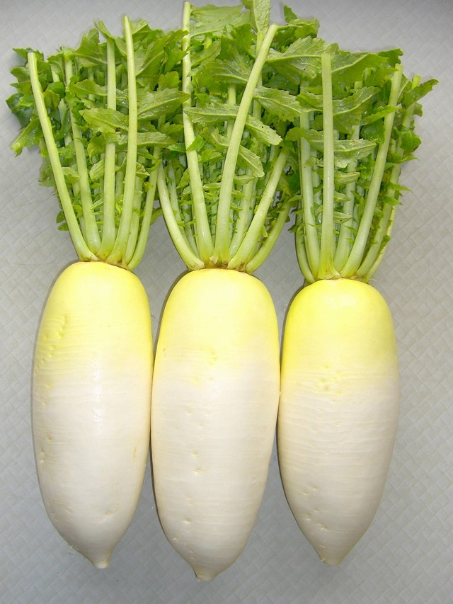 加賀野菜 加賀能登和きむち １袋 １００g お漬物 かねなかや次兵衛