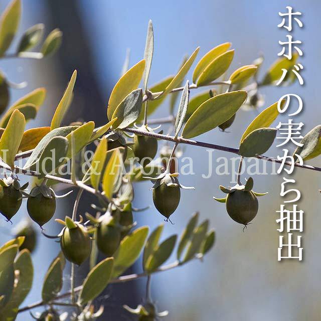 オーガニック ホホバオイル 植物油10ml 有機 キャリアオイル Organic Jojoba Oil アロマクラフト アロマオイル Aromajapan