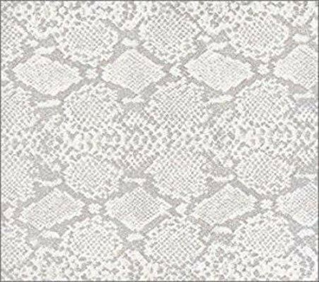 Blankey Jet Cityブランキー ジェット シティ 1991 1995 Record Shop Conquest レコードショップコンクエスト