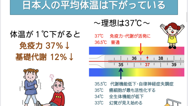 トロン発生 モナザイト岩盤浴マット トリマ Lpj セレクトショップ