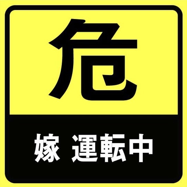 領事館 混乱させる 識字 車 ステッカー 面白 樫の木 ミルク 部屋を掃除する