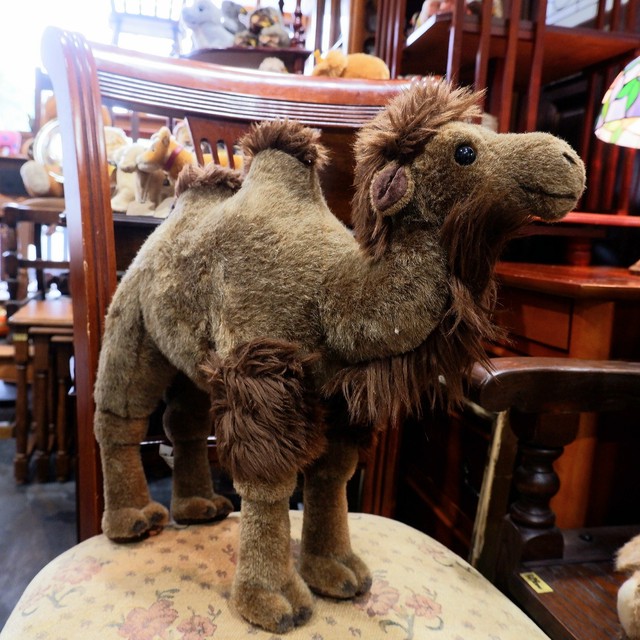 ドイツ Koesen ケーセン社 大きなラクダのぬいぐるみ フタコブラクダ 古着屋 Sputonic