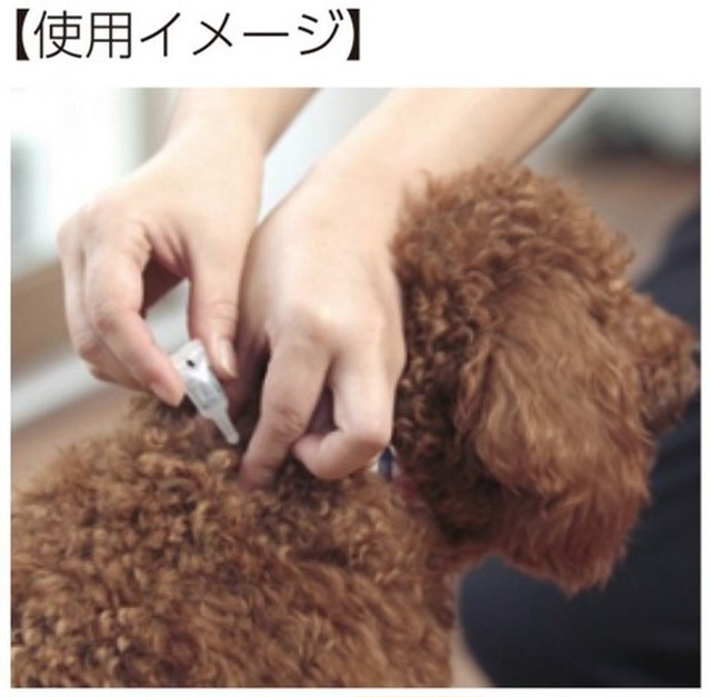 犬猫用品 アース 薬用サンスポットラベンダー 中型犬用 1 6g 3本 Petsぱう ペットとのハッピーライフを応援します