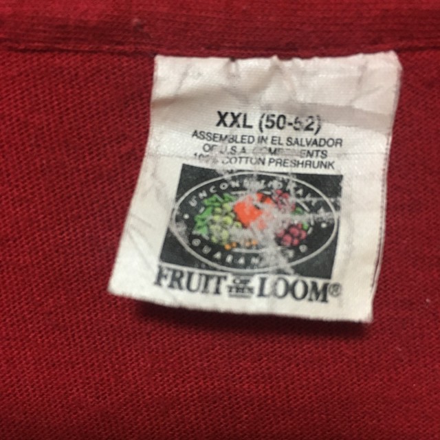 90s 古着 フルーツオブザルーム 90年代タグ 無地ビッグtシャツ ビンテージ Ia Ra By P Tail Net