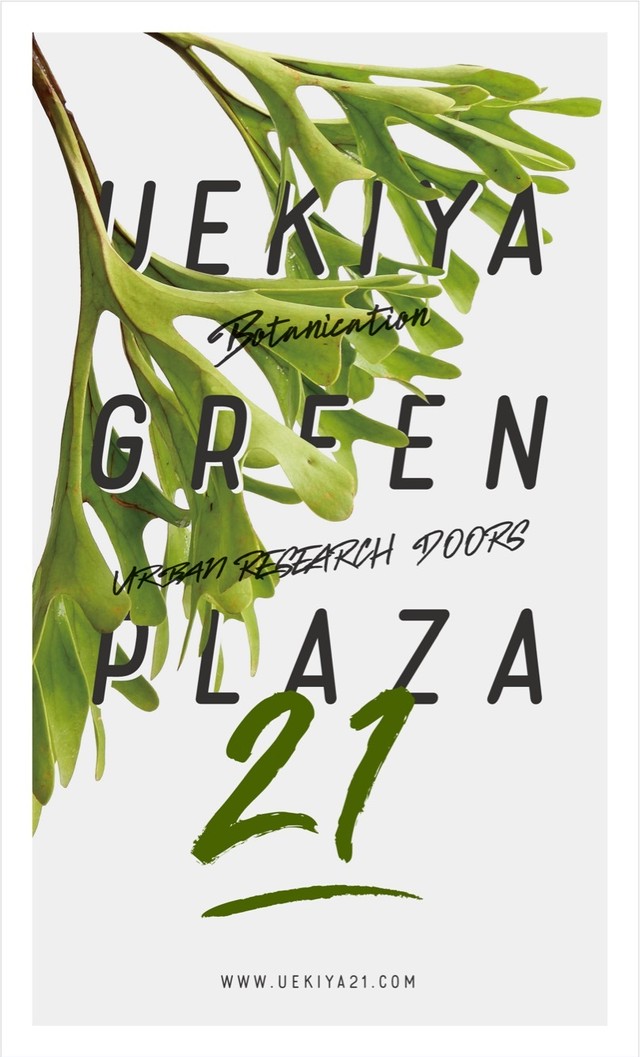 アーバンリサーチ南船場店での植物ディレクション Uekiya Greenplaza 21