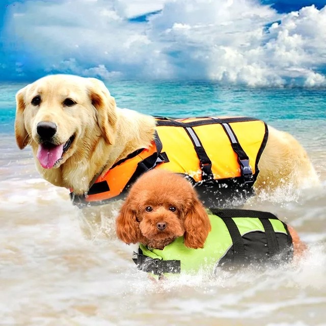 ライフジャケット 水遊び 海水浴 犬服 ドッグウェア ペット服 わんこ 夏 Bandp Dog Wear わんこのお洋服 犬服 ペット服