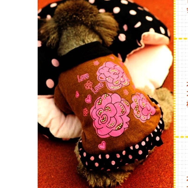 犬服 猫服 ペット服 フラワー柄襟付きドットワンピース 茶色 Ronkichimaru ロンキチマル かわいい犬服 猫服 ペット服