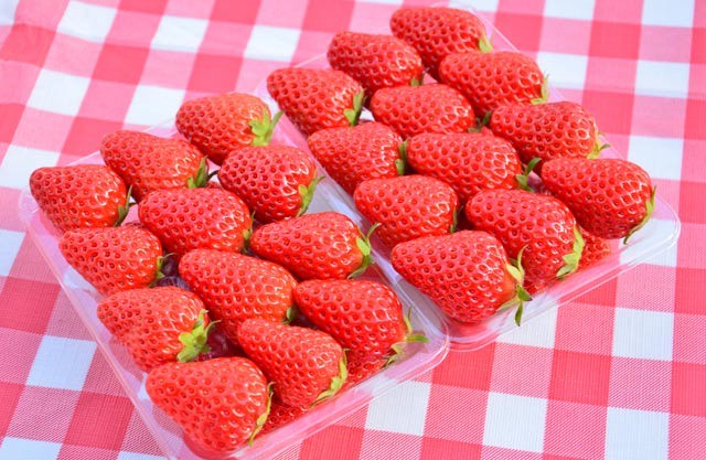 紅ほっぺ 2lサイズ 2パック40粒入 美園いちごランド