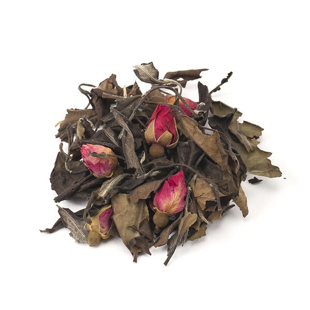 白茶+ 薔薇