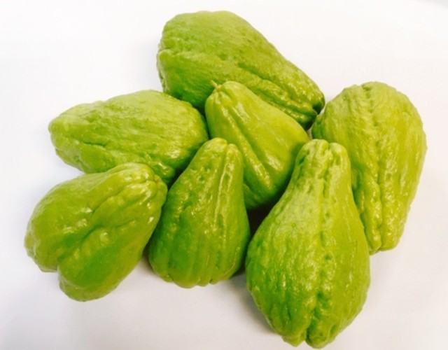 漬物や煮物に 沖縄産 採れたてハヤトウリ３kg Adan Okinawa アダン沖縄 Base店 熱帯フルーツ 島野菜 沖縄特産品 ちょっとお取り寄せ